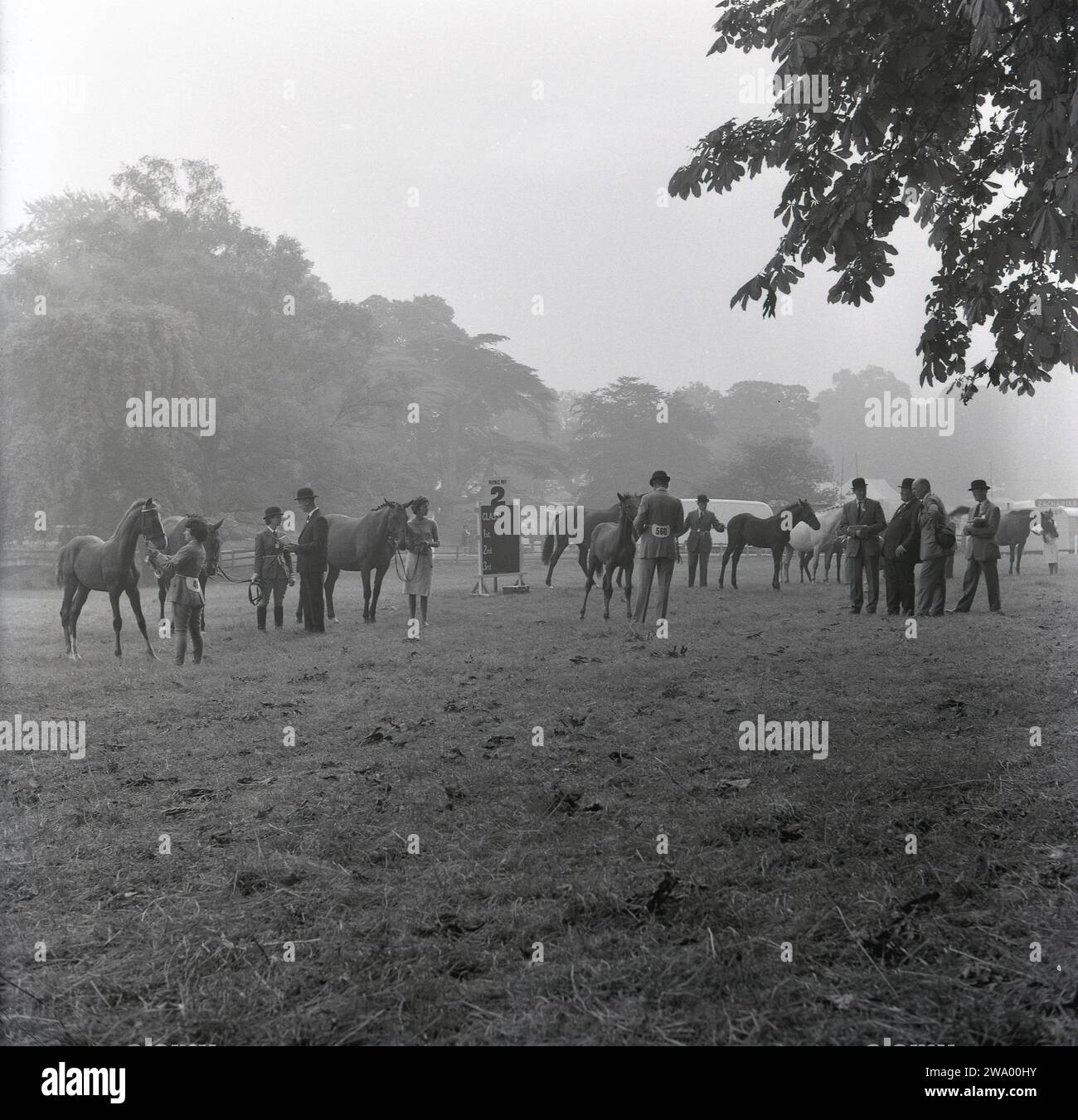 1964, historical, at a county horse show, in a field, at Ring no 2, young hunters with riders being looked at by Judges, Aylesbury, England, UK. Stock Photo