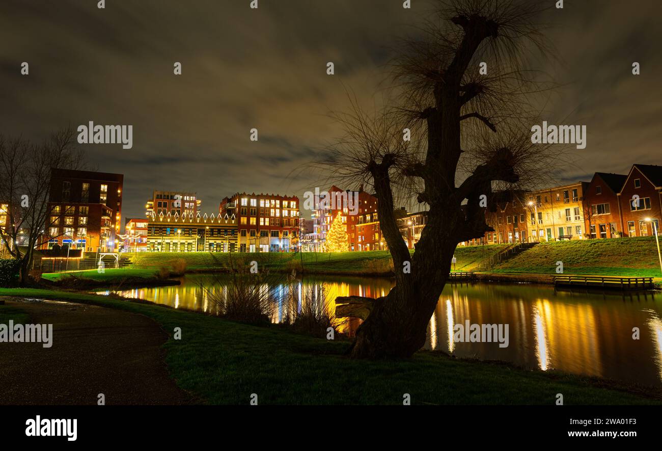 Silhouette of a lone tree along the waterside in the modern center of Waddinxveen, Netherlands Stock Photo