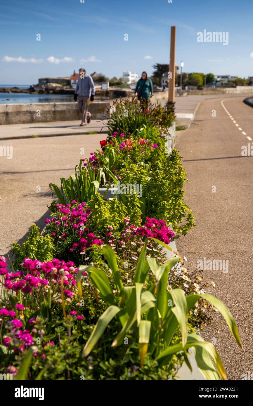Ireland, Dublin, Sandycove, seafront promenade, floral planter beside