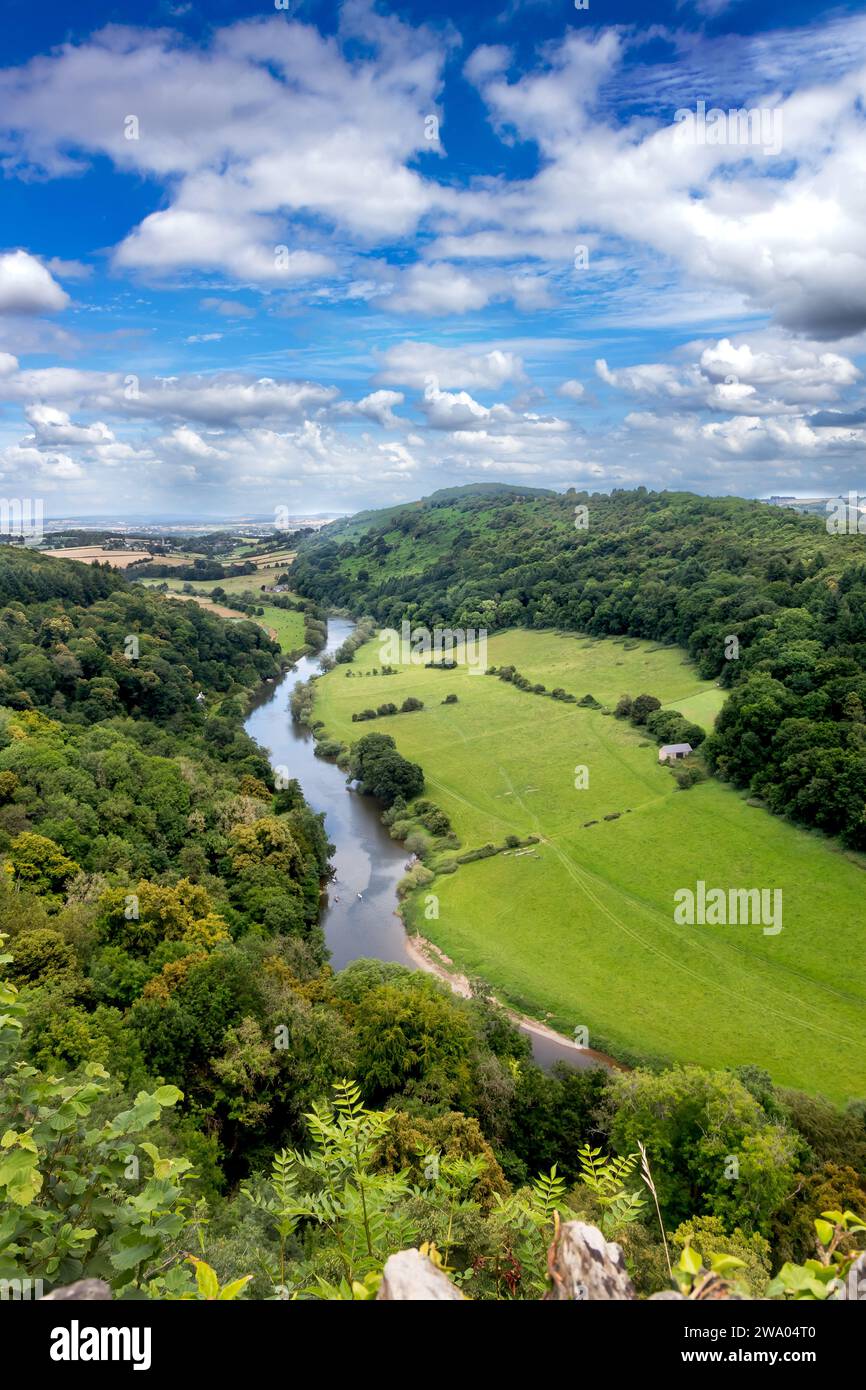 Symonds Yat Rock. Viewpoint is one of the best places in the country to watch Peregrine Falcons. Stock Photo