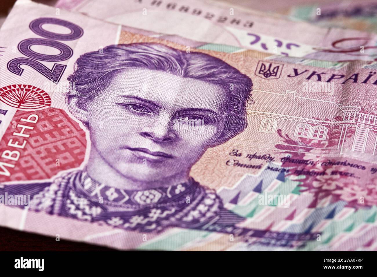 The thoughtful design of Ukrainian banknotes is evident in this close ...