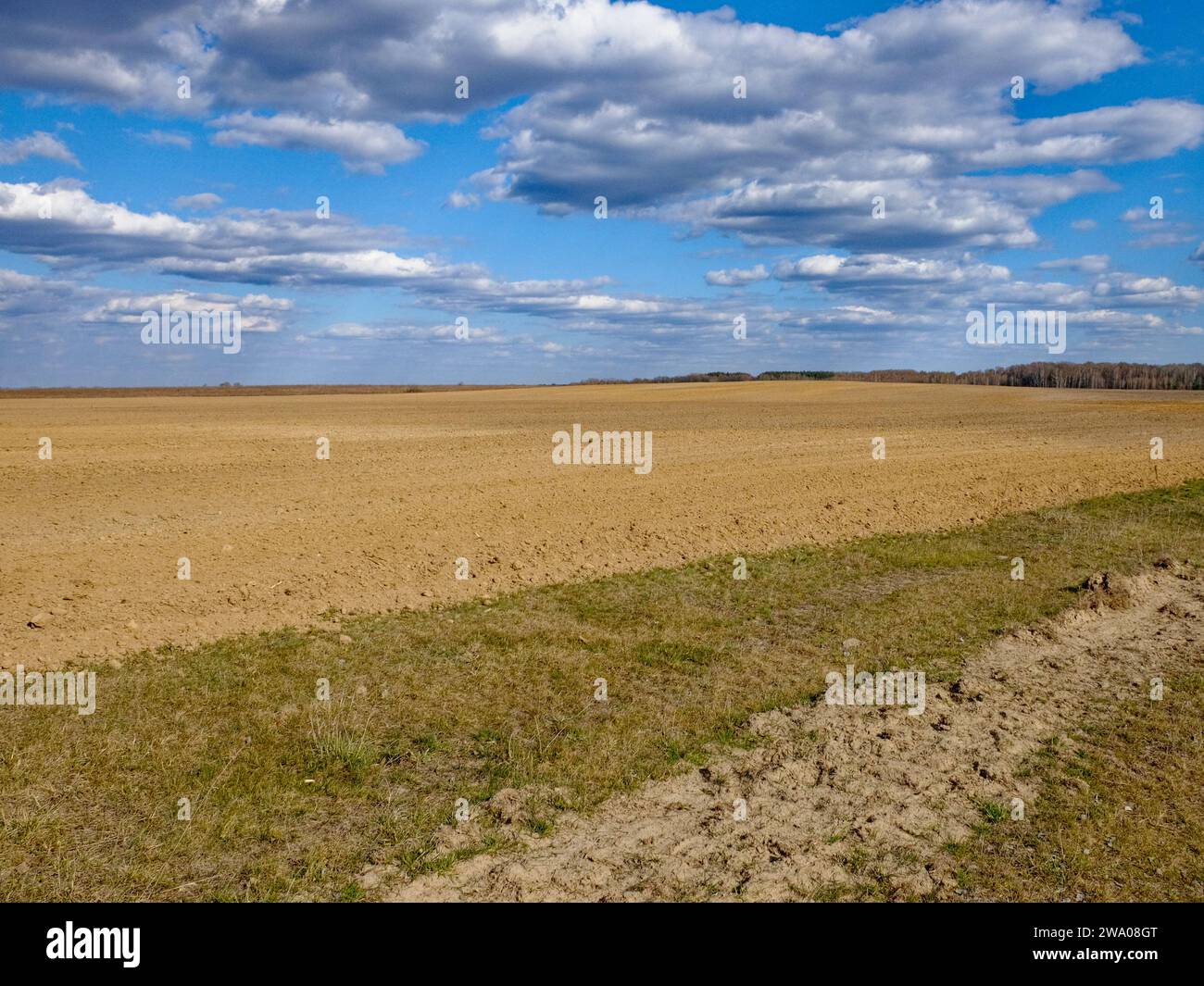 A vast field under a sky filled with fluffy clouds. Stock Photo