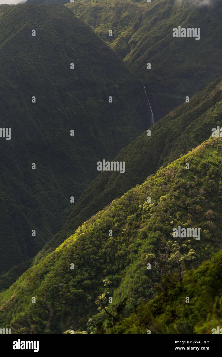 Hidden waterfall in the lush folds of Maui's Waihe'e Ridge Trail Stock ...