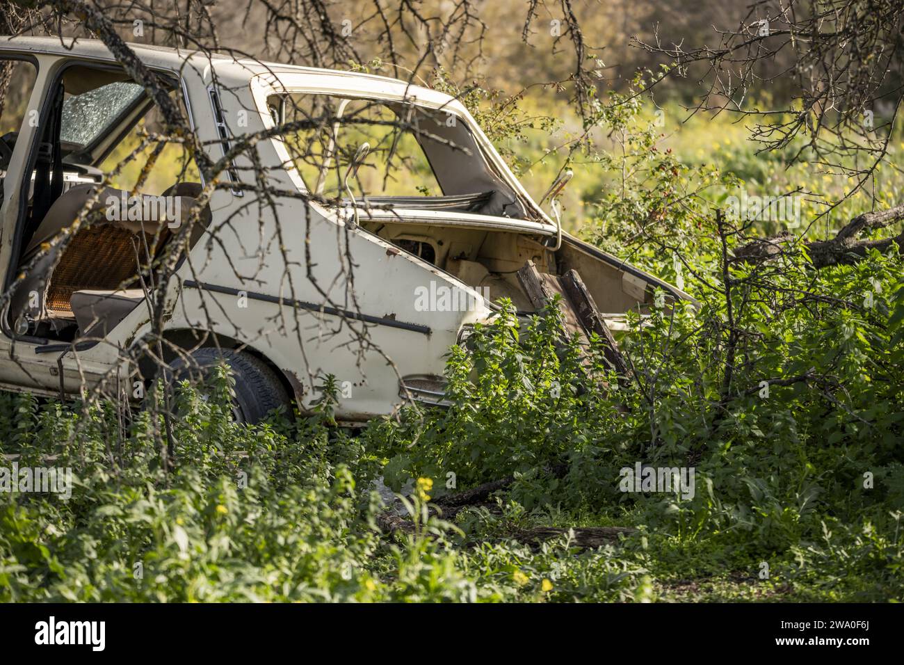 Abandoned antique vehicles hi-res stock photography and images - Alamy