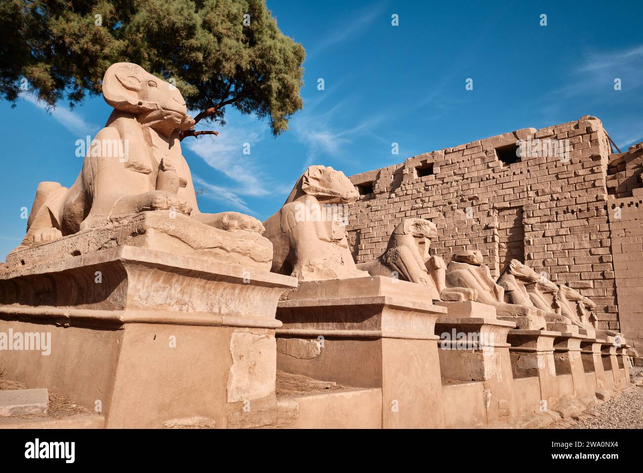 Luxor, Egypt - December 26 2023: Karnak Temple sphinxes alley, The ruins of the temple Stock Photo