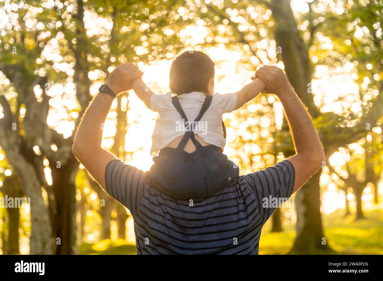 Father and son in a forest in summer autumn. Child on father's back nature under the rays of sunset Stock Photo