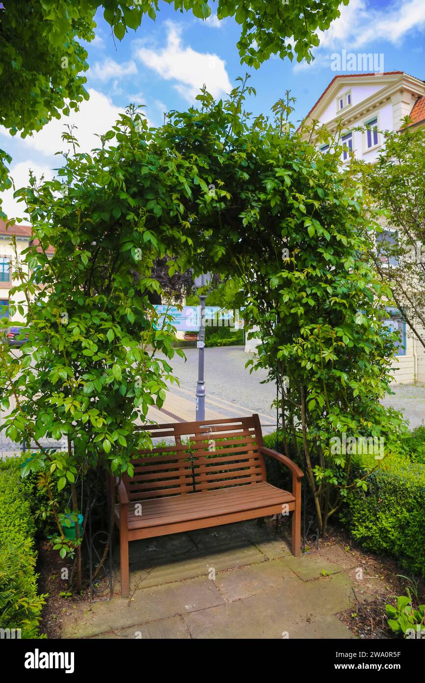Wooden bench in front of the Old Castle Hechingen, Prinzessinnenpalais ...