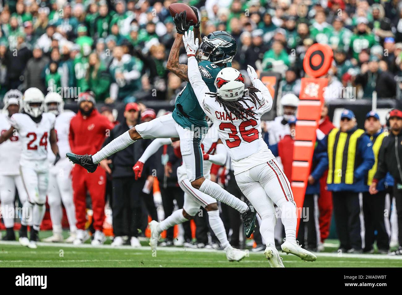 Andre chachere eagles hi-res stock photography and images - Alamy