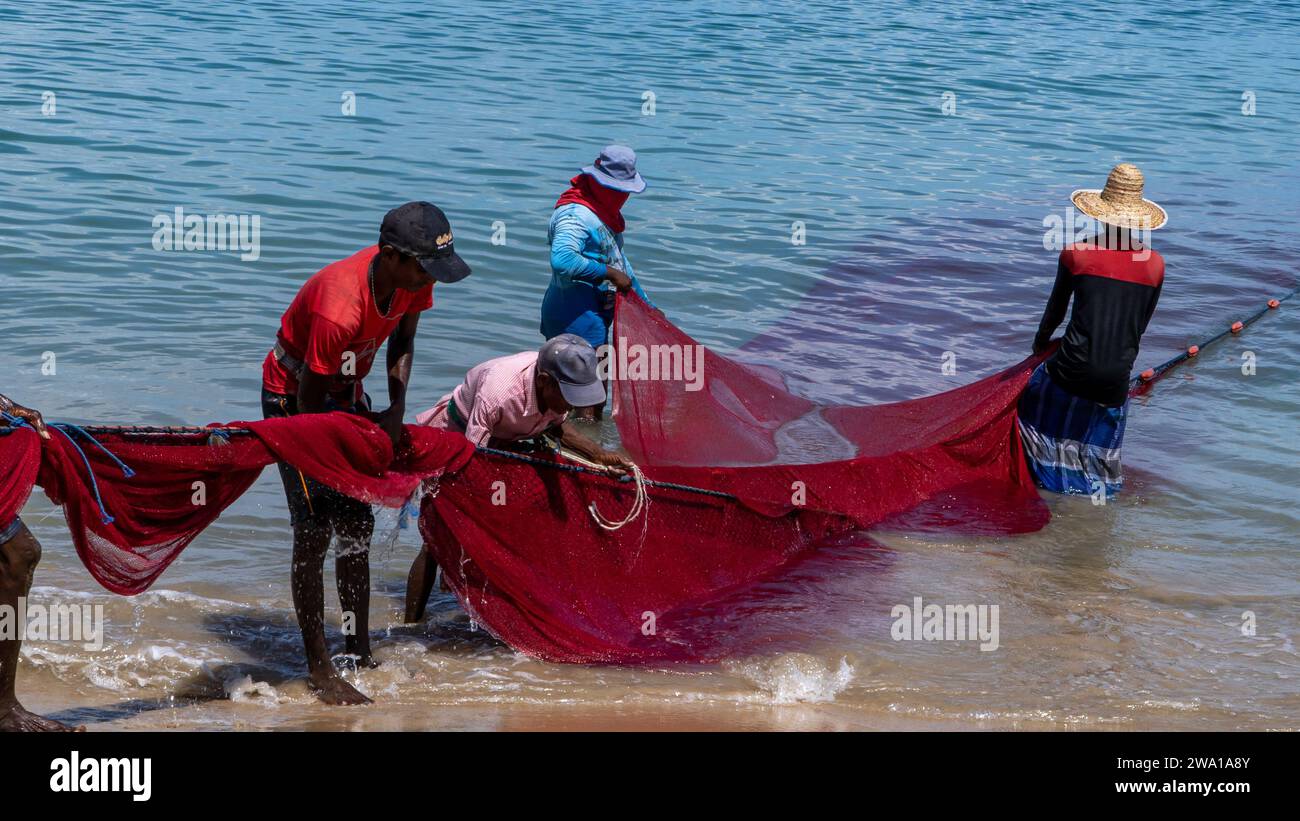 Team Effort: Group Pulling Fishing Net at Kalkudah Beach, Eastern Sri Lanka Stock Photo