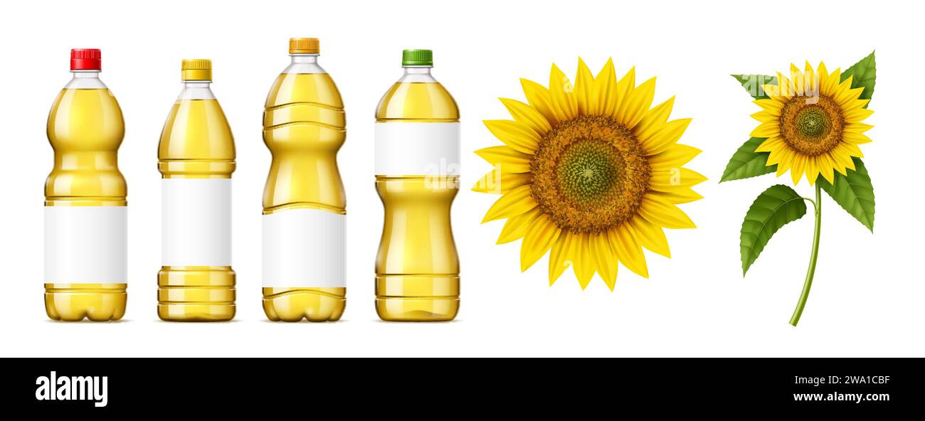 Sunflower oil isolated 3d vector set. Glistening bottles of pure a golden elixir for culinary magic, standing tall beside a radiant sunflowers in full bloom, natural food, plastic flasks and blooms Stock Vector