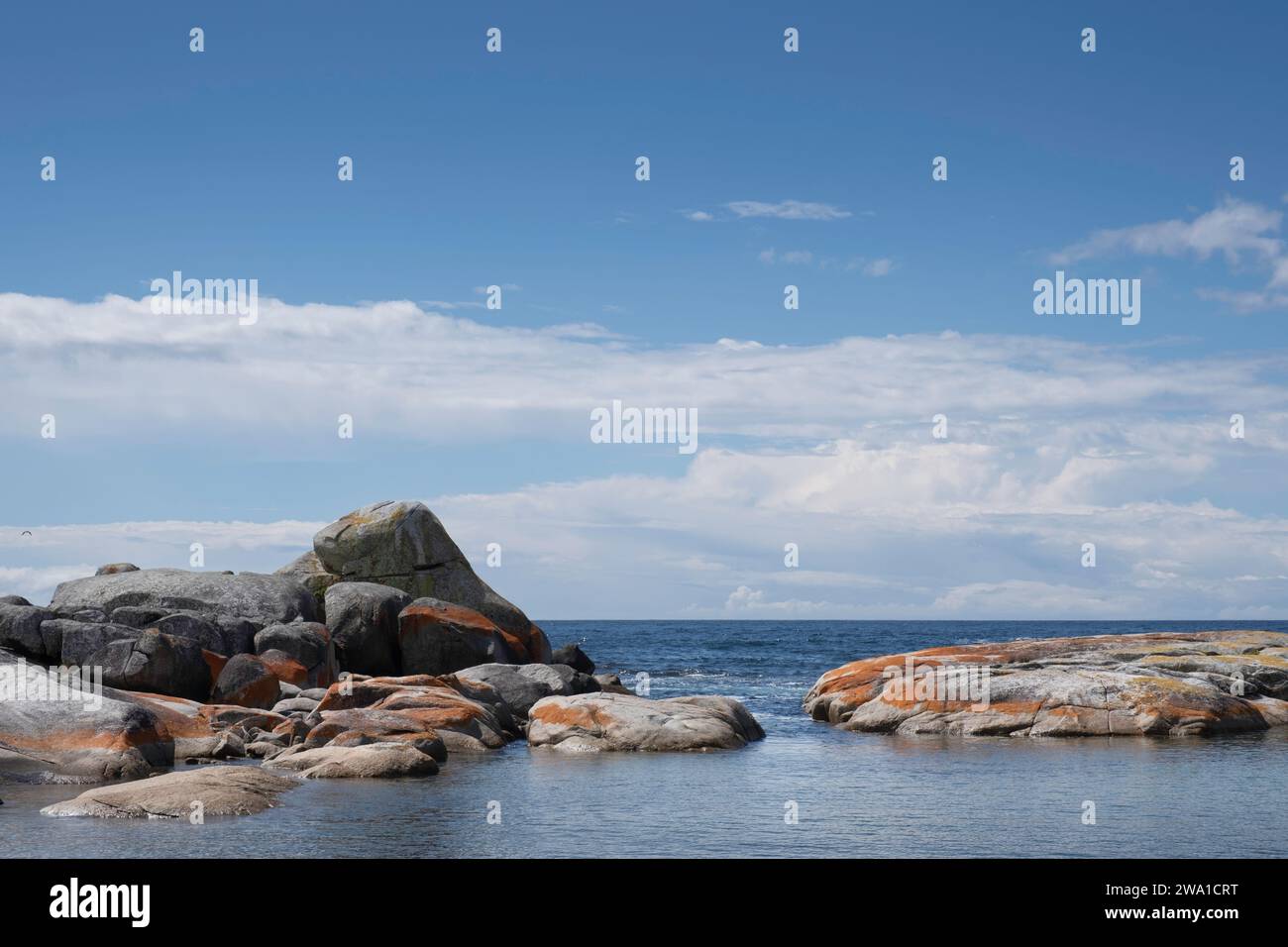 Orange-hued granite rocks in the Bay Of Fires on the northeastern coast ...