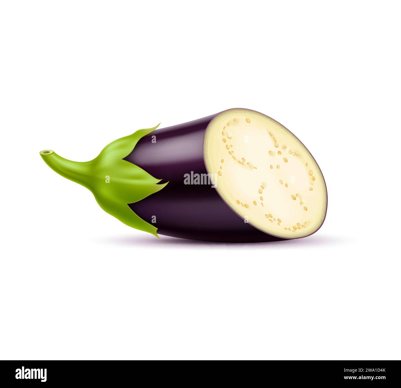 Realistic raw isolated eggplant vegetable half. 3d vector halved plant gleaming with deep purple skin, reveals its creamy white flesh and delicate seeds exudes freshness, ready for culinary creativity Stock Vector