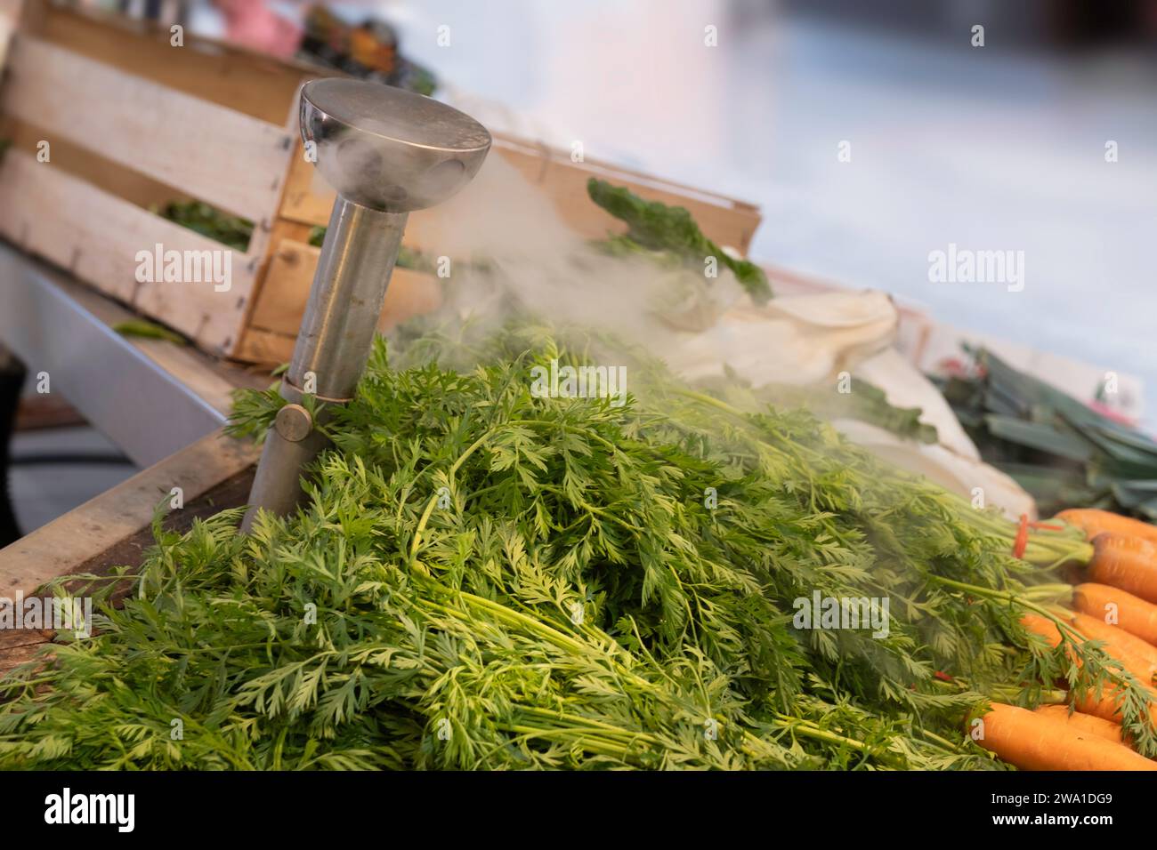 Vegetables store nobody hires stock photography and images Alamy