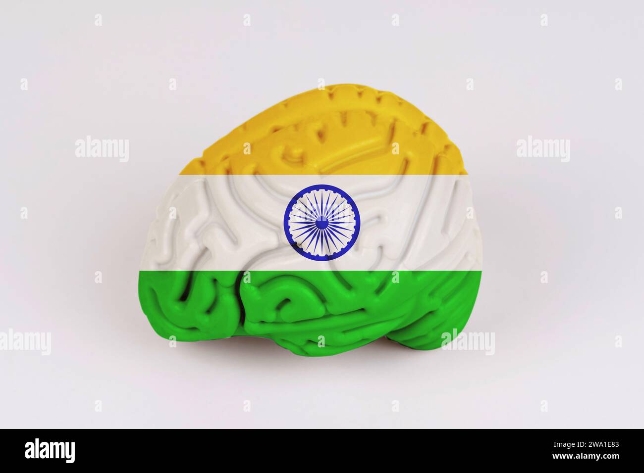 On a white background, a model of the brain with a picture of a flag ...