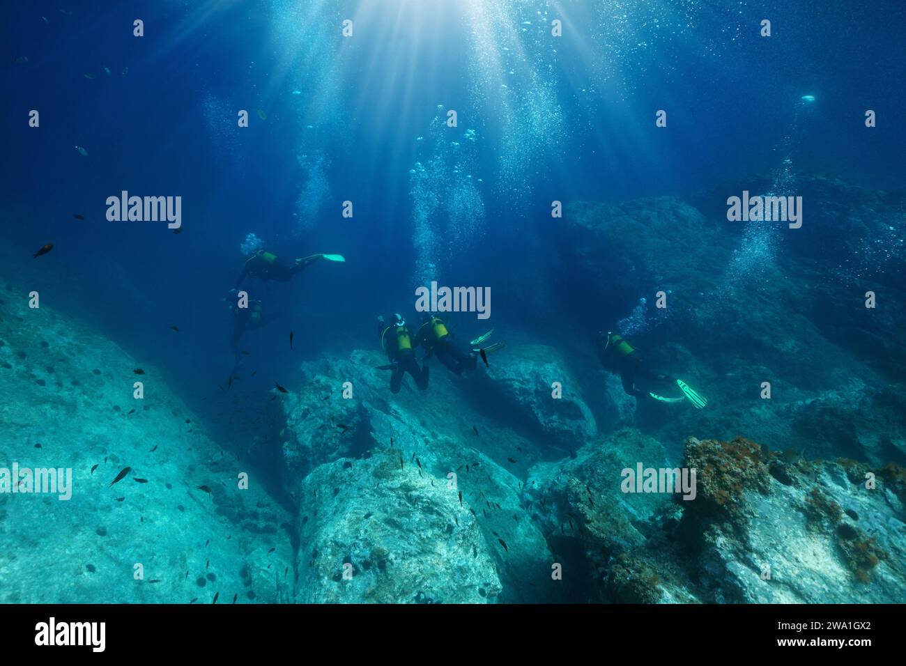 Scuba diving, scuba divers with sunlight and bubbles underwater in the Mediterranean sea, France, Occitanie Stock Photo