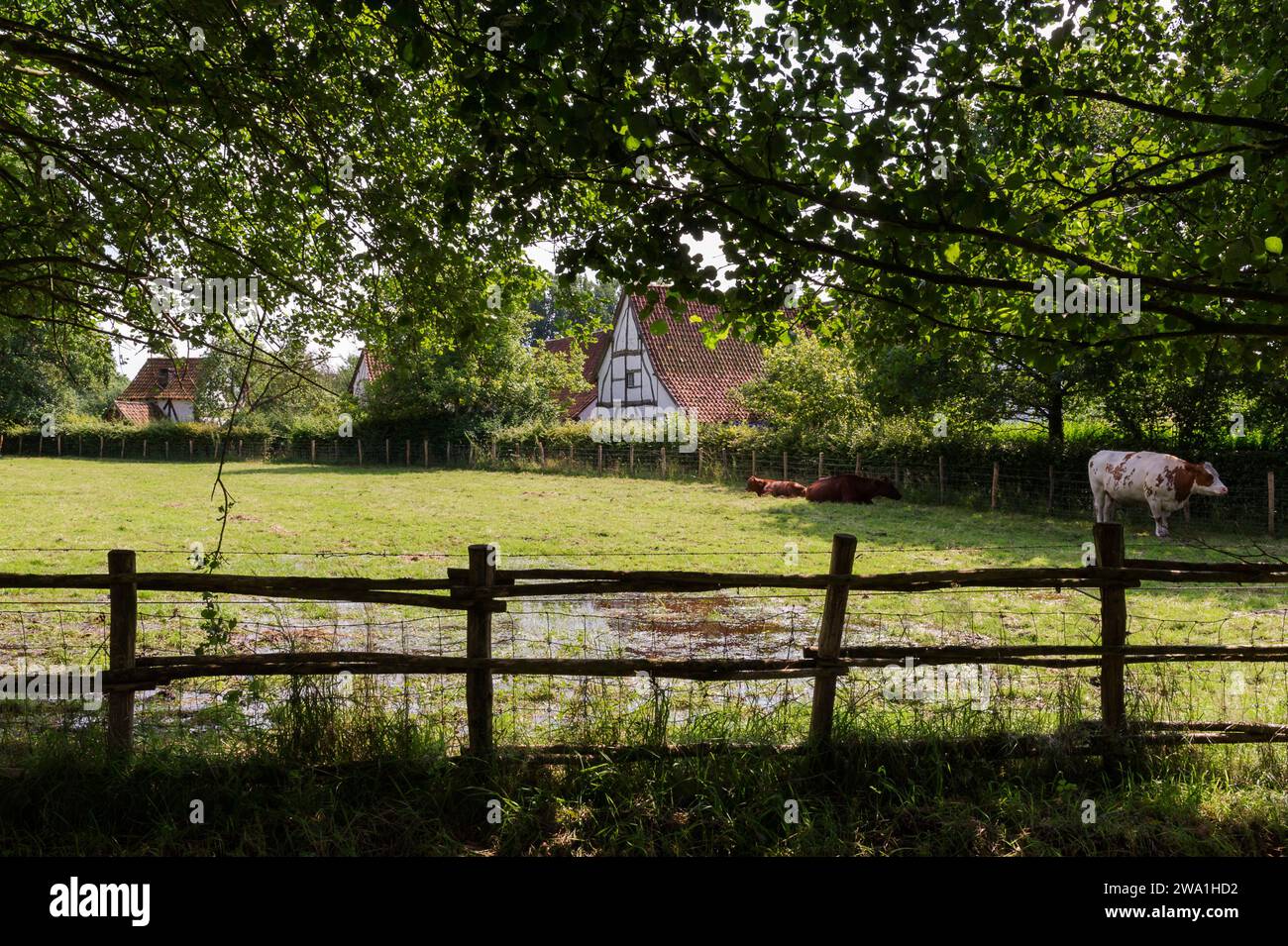 Historic village with 100 authentic buildings from the early years of ...