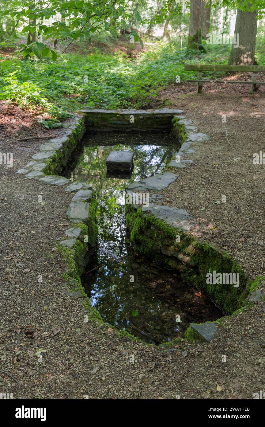 Hitler sejourna moins d'un mois dans le bunker et les abris qu'il fit batir au milieu des bois de Bruly de Pesche. |  Hitler stayed less than one mont Stock Photo