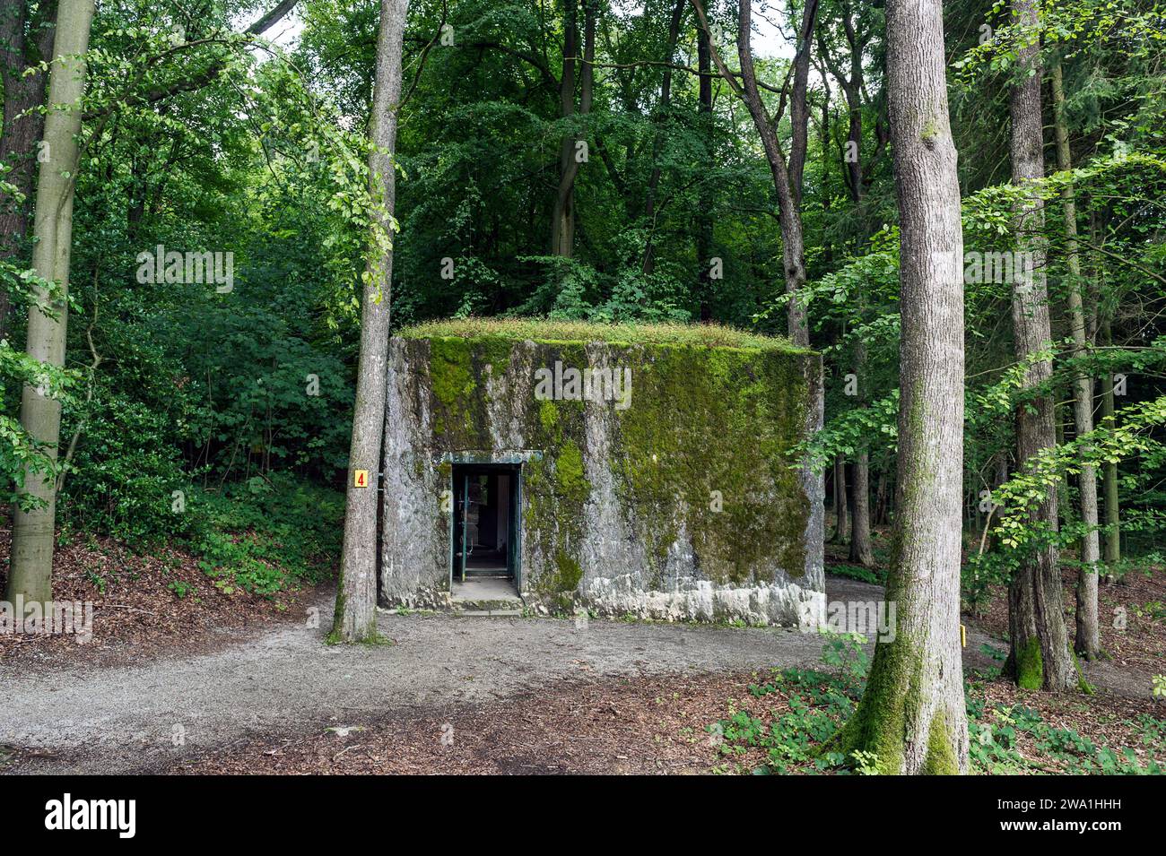 Hitler sejourna moins d'un mois dans le bunker et les abris qu'il fit batir au milieu des bois de Bruly de Pesche. |  Hitler stayed less than one mont Stock Photo