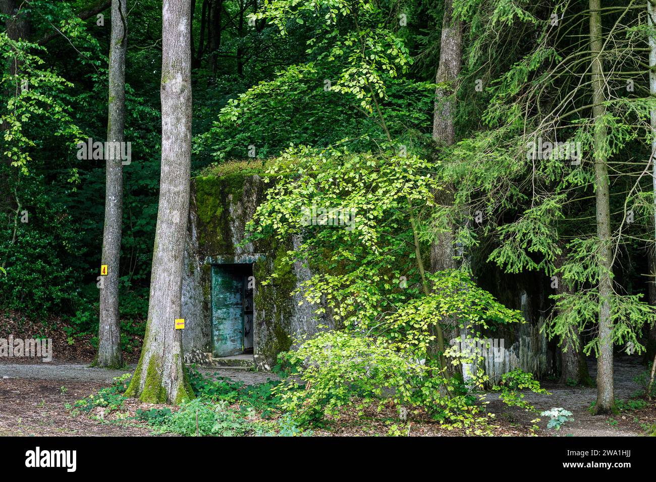 Hitler sejourna moins d'un mois dans le bunker et les abris qu'il fit batir au milieu des bois de Bruly de Pesche. |  Hitler stayed less than one mont Stock Photo