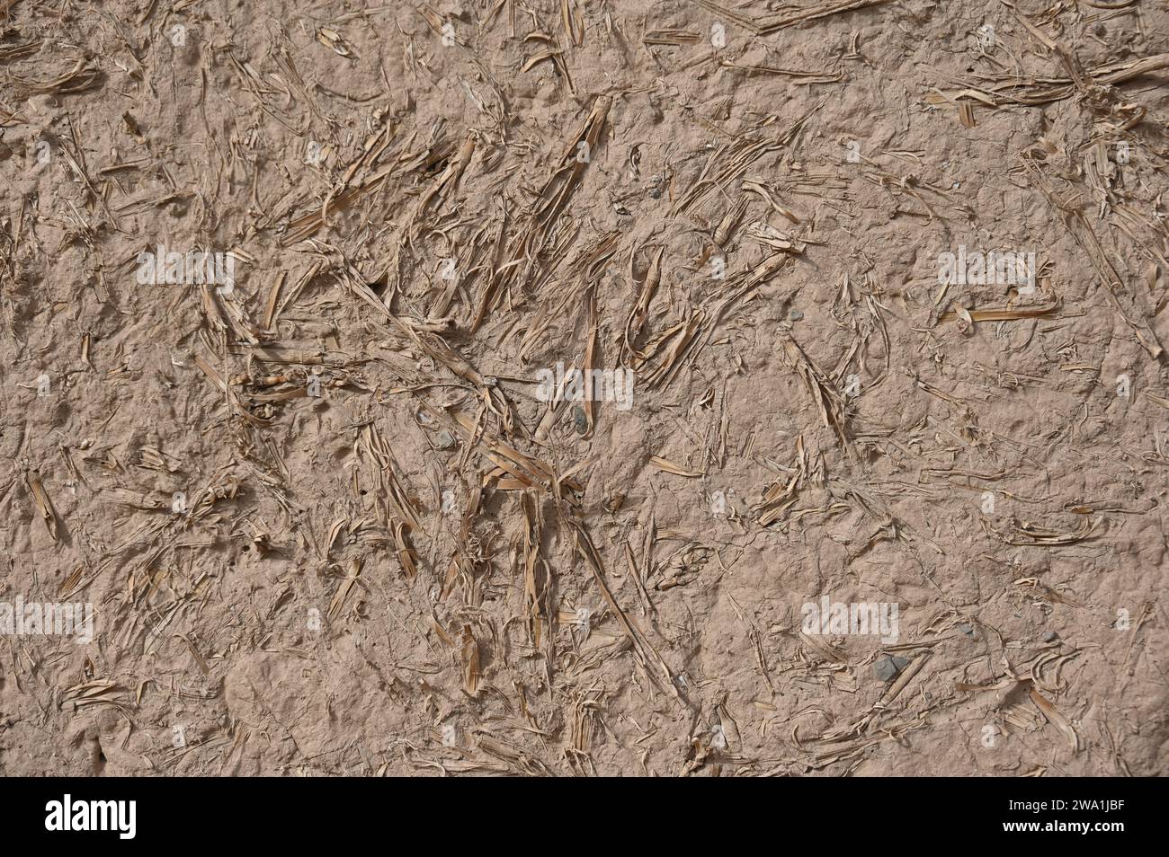 Texture of a mud house facade in Morocco Stock Photo