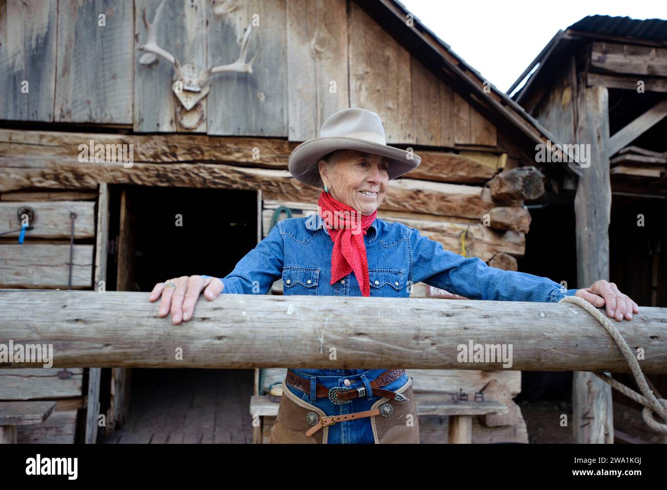 Cattle rancher readying to ride, next to Canyonlands NP, UT Stock Photo ...
