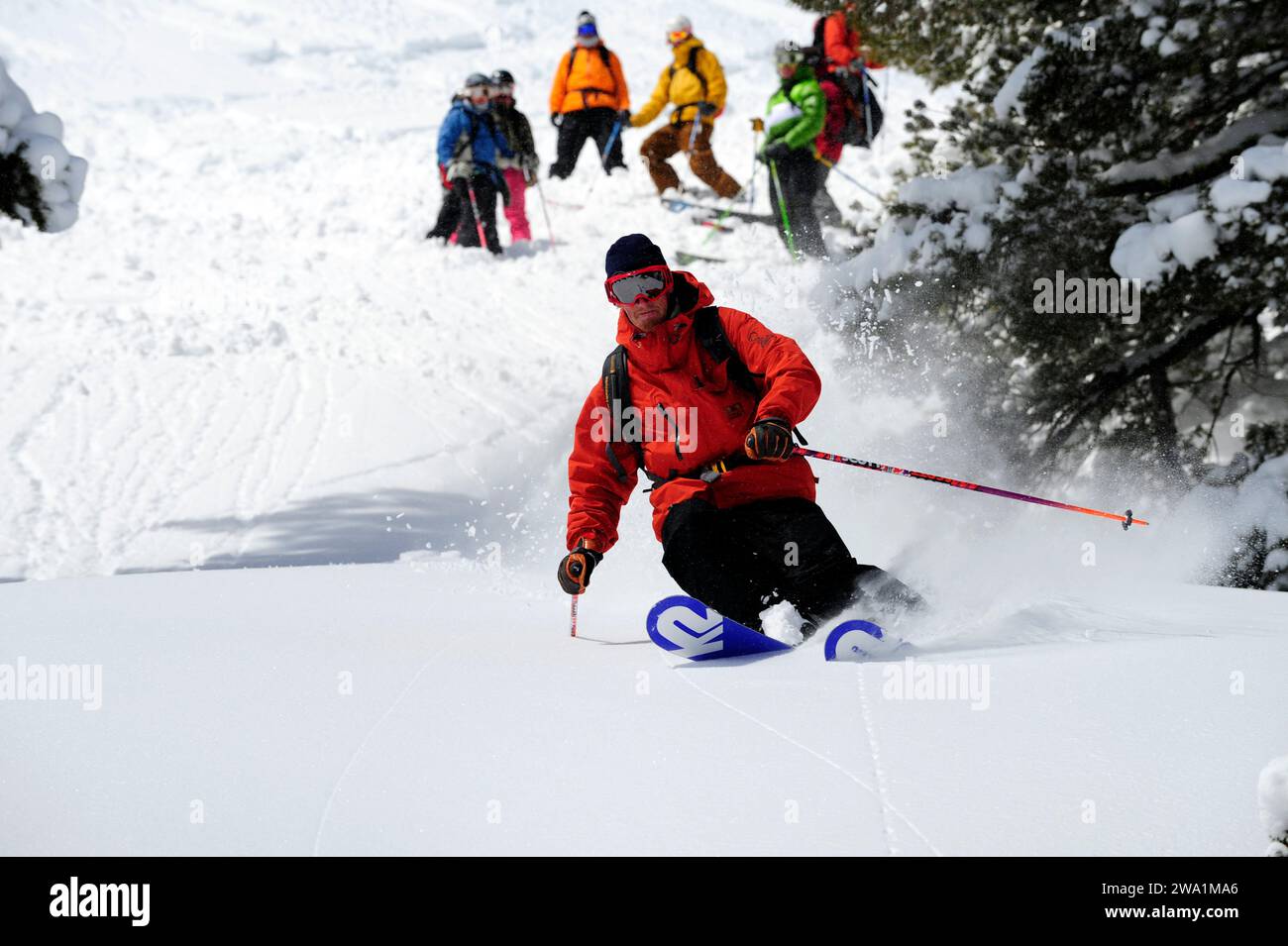 A ski instructor skiing powder with his students in the background at a mountain resort near South Lake Tahoe, California. Stock Photo