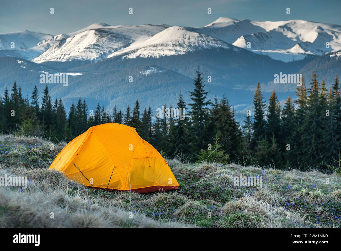 Tent Camping In The Mountains, First Morning Light Stock Photo