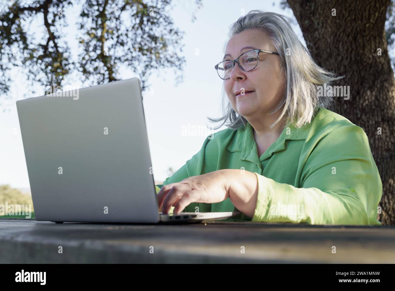 mature woman with white hair  smiling as she works at her computer Stock Photo
