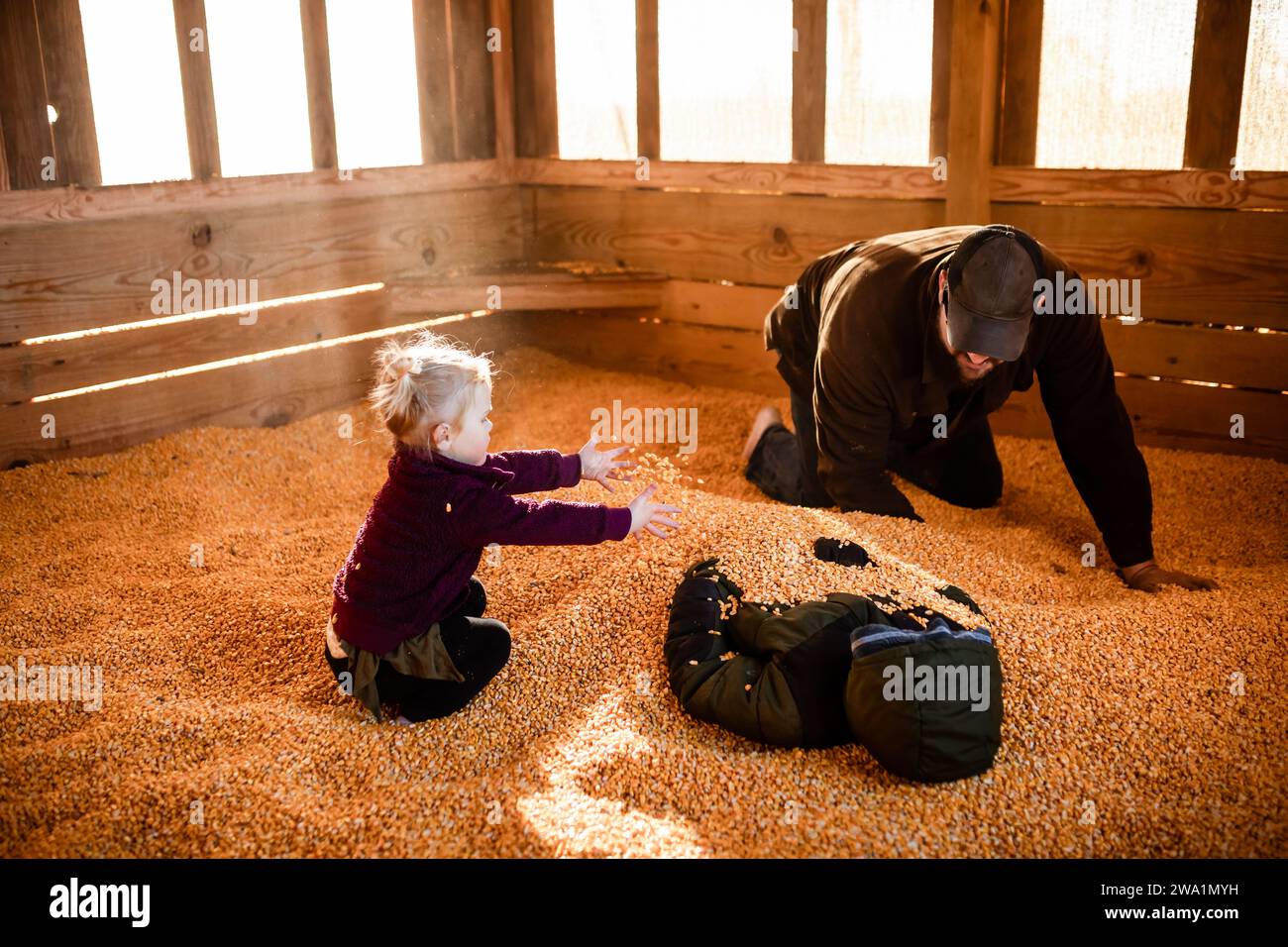 Young family playing in corn pit at family farm Stock Photo