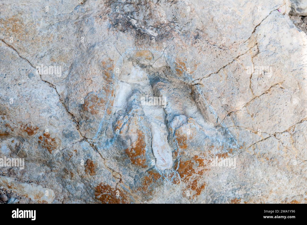 fossil track, Paleontological sites of vertebrates from the Early Cretaceous, Villanueva de Huerva, Aragon, Spain Stock Photo