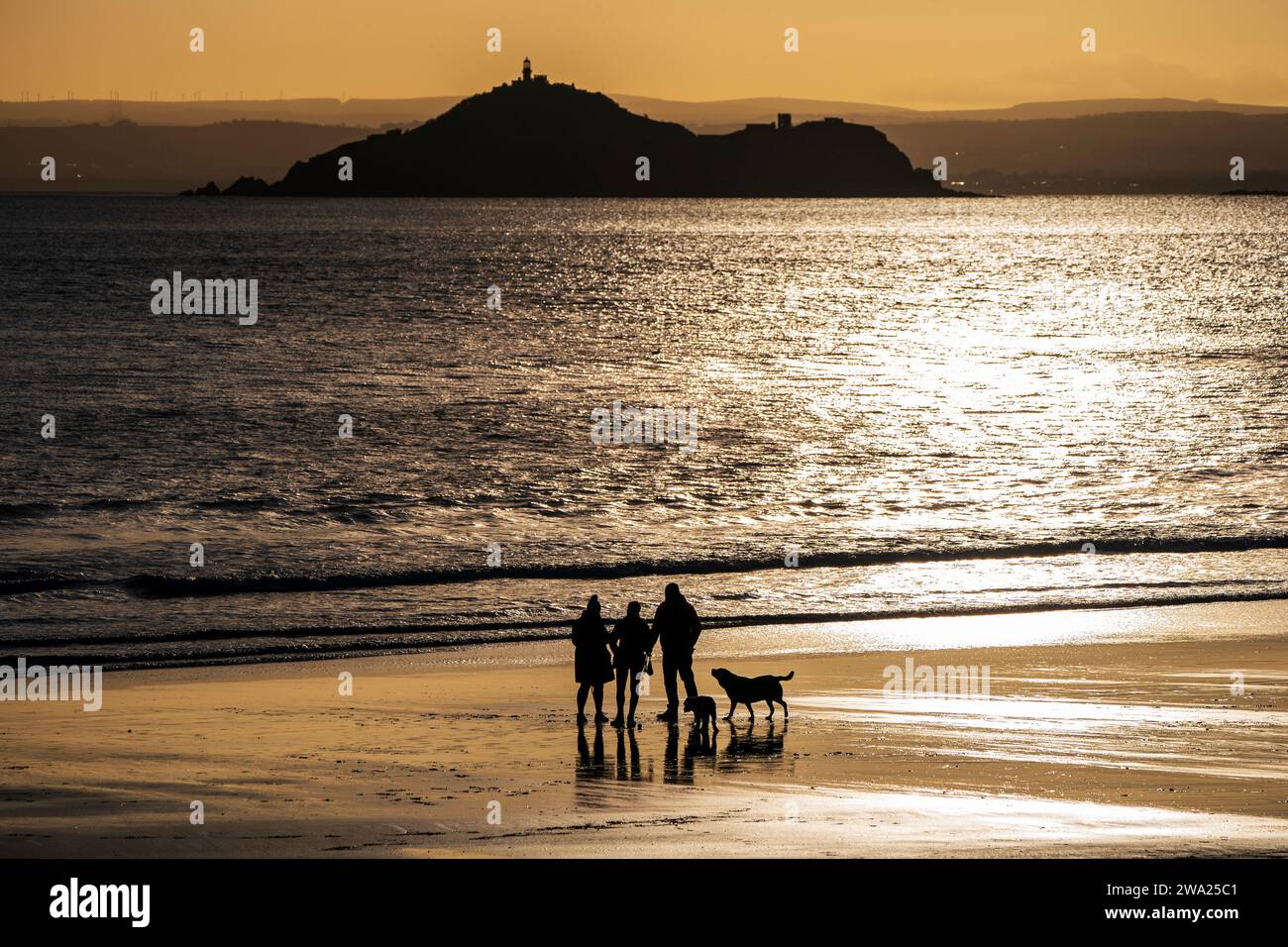 Dog walkers on the beach on New Year???s Day at Kinghorn in Fife. Picture date: Monday January 1, 2024. Stock Photo