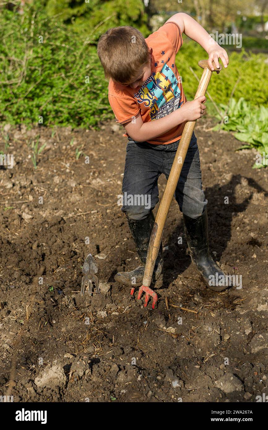 Enfant dans le potager avec une fourche beche. Creuser des trous pour planter des pommes de terre dans le sol. |  Boy in the vegetable garden digging Stock Photo