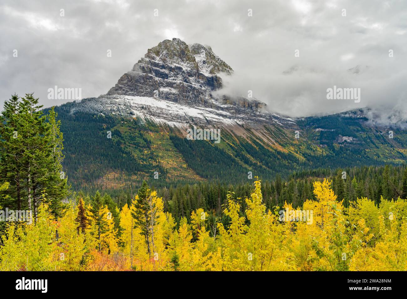 Fall foliage color along the Going to the Sun Road in Glacier National ...