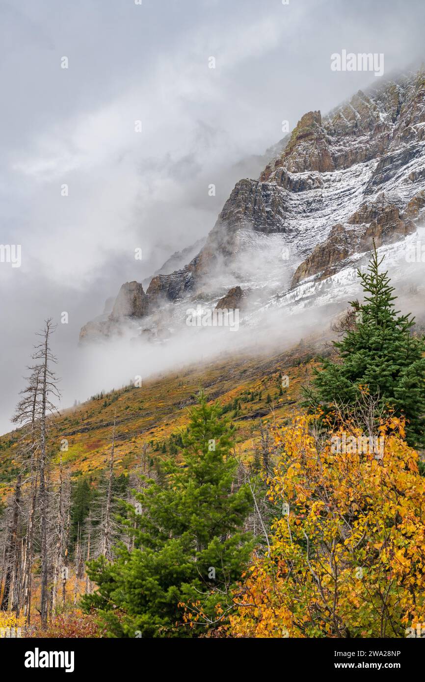 Fall foliage color along the Going to the Sun Road in Glacier National ...