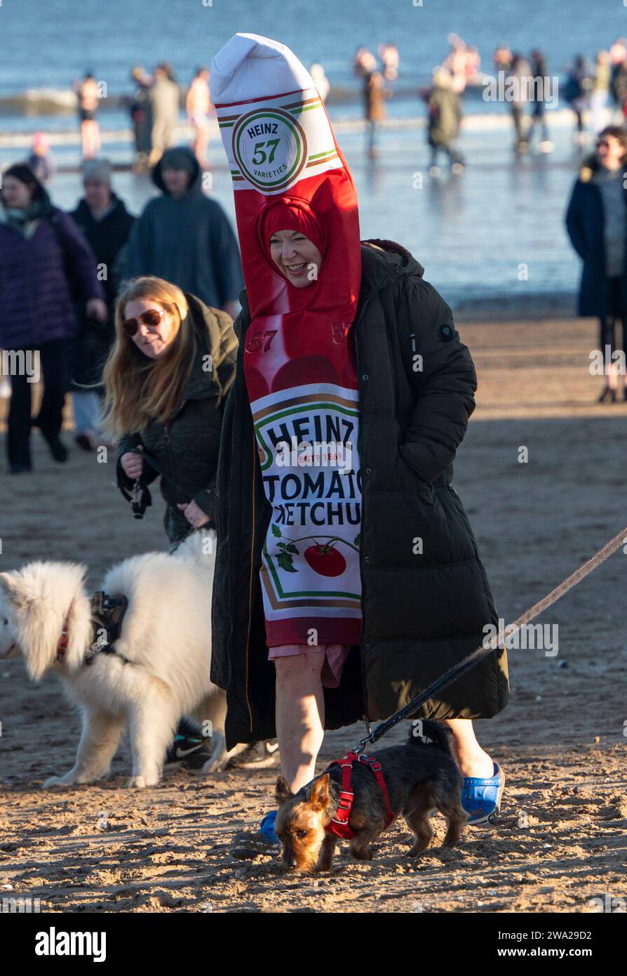 New year dook 2024 hires stock photography and images Alamy