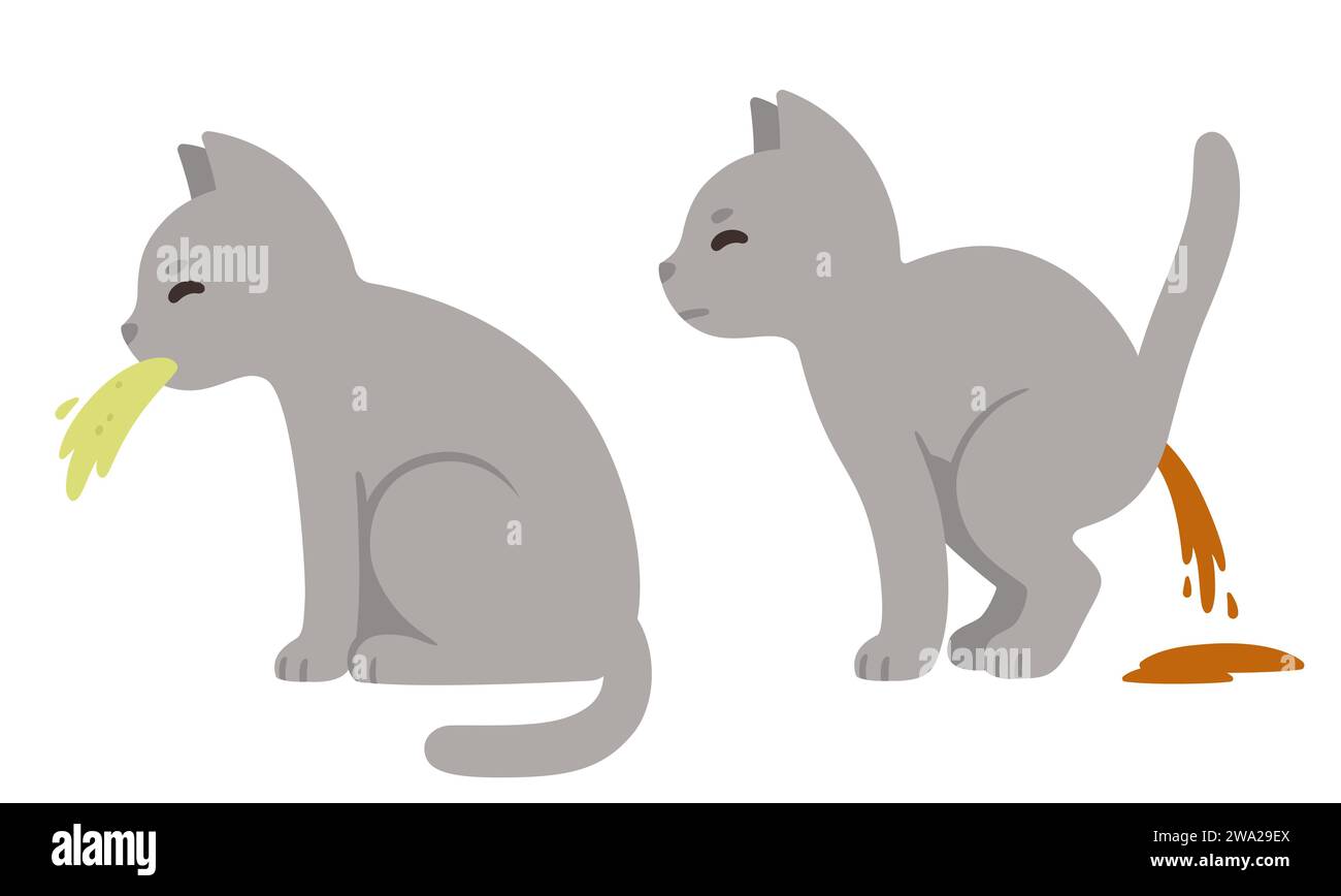 Cat Vomiting And Diarrhea Symptoms photo