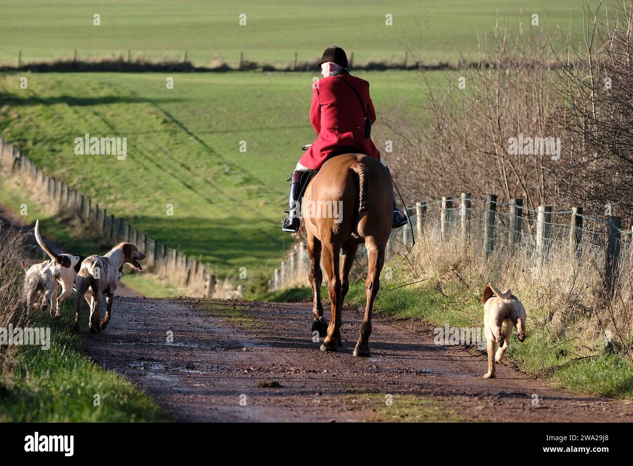 Melrose UK 01st Jan 2024 Melrose Country Day January 2024   Melrose Uk 01st Jan 2024 Melrose Country Day January 2024 The Traditional New Years Day Meeting Of The Local Hunt This Year Buccleuch Hunt Met At Melrose In The Scottish Borders On Monday 01 January 2024 Credit Rob Grayalamy Live News 2WA29J8 