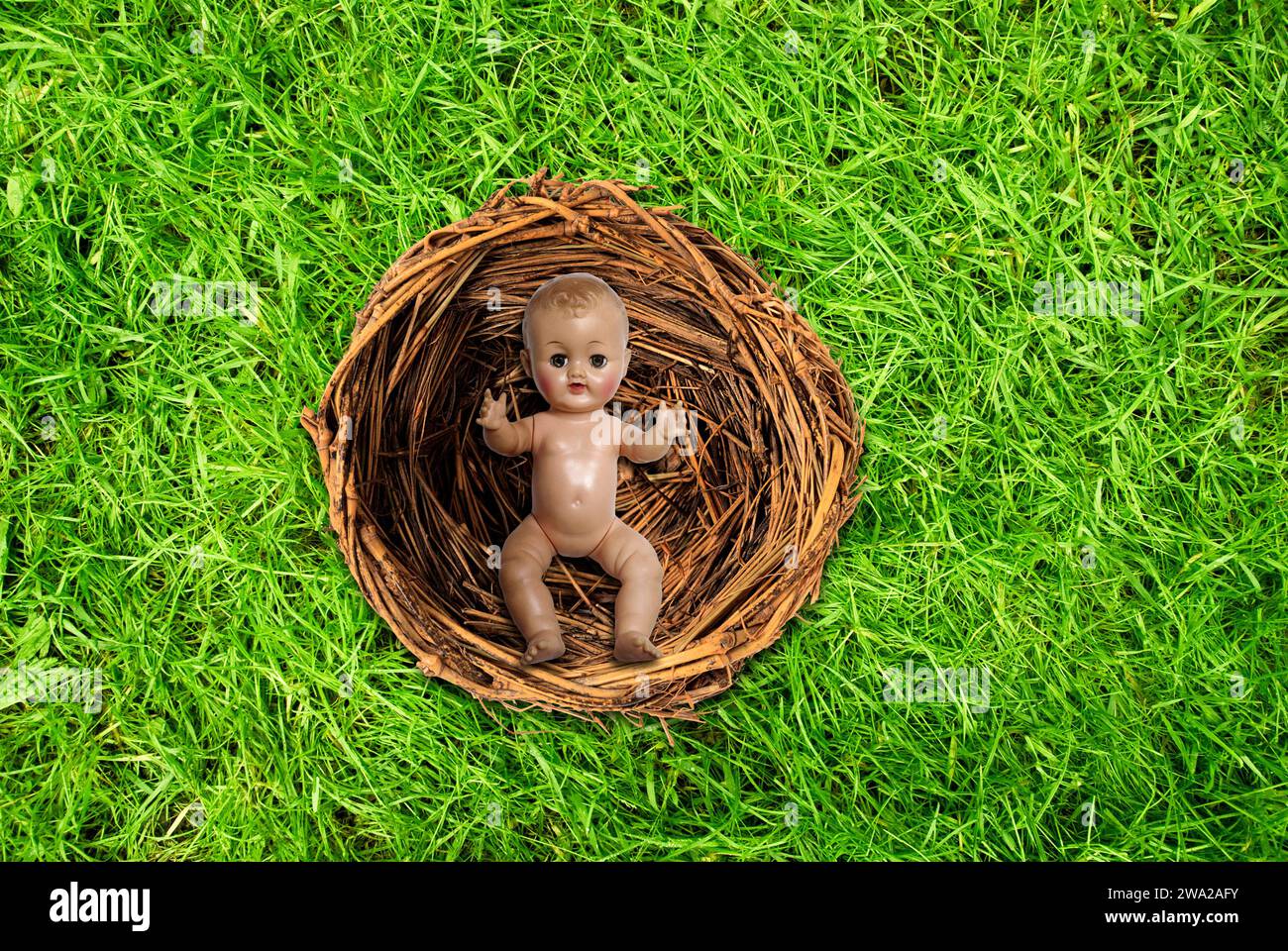 green grass as a background texture Stock Photo