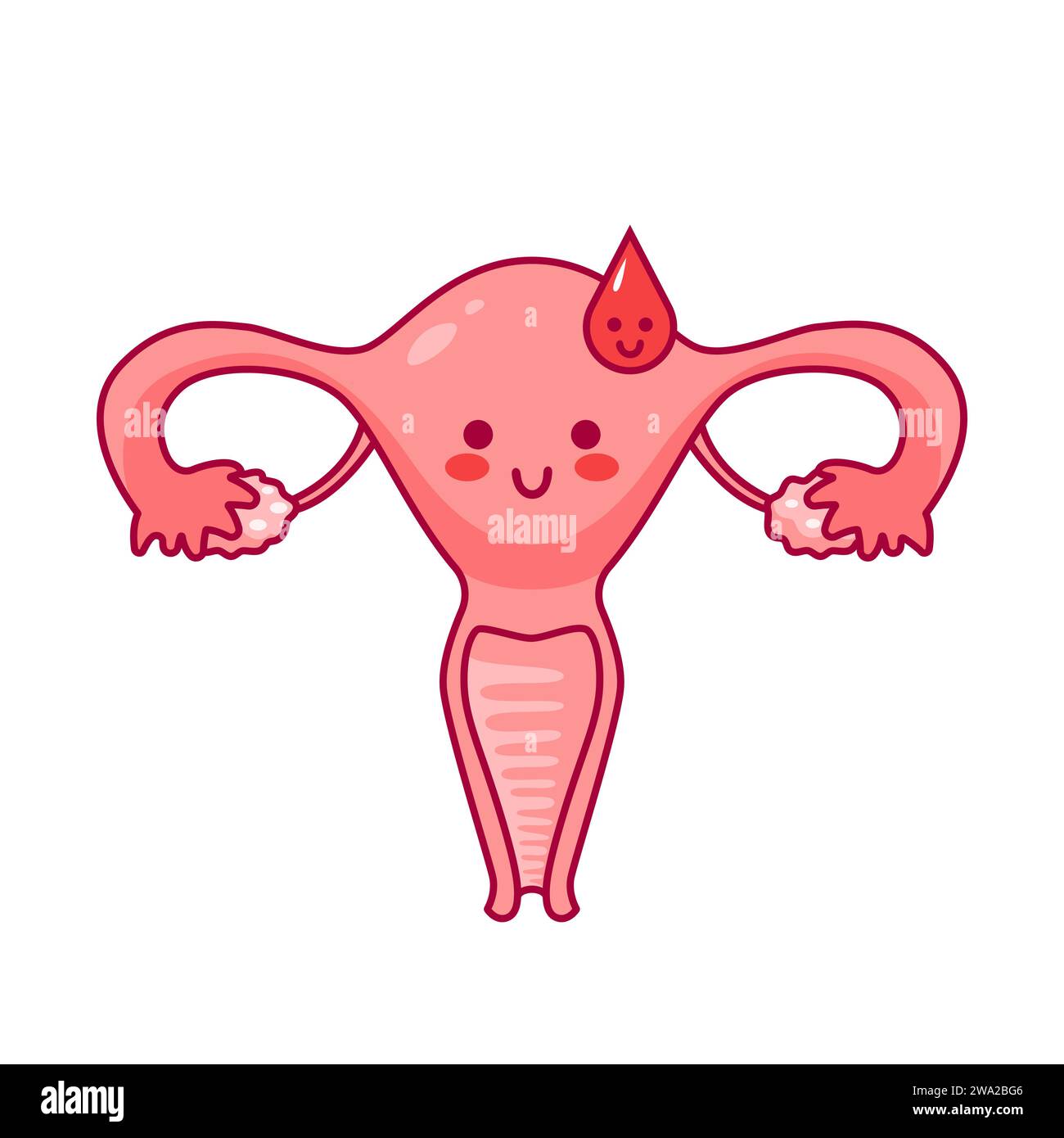 Uterus. Women Health. Female reproductive system, cycle. Human anatomy. Diagram of the location of the organs of the uterus, cervix, ovaries, fallopia Stock Vector