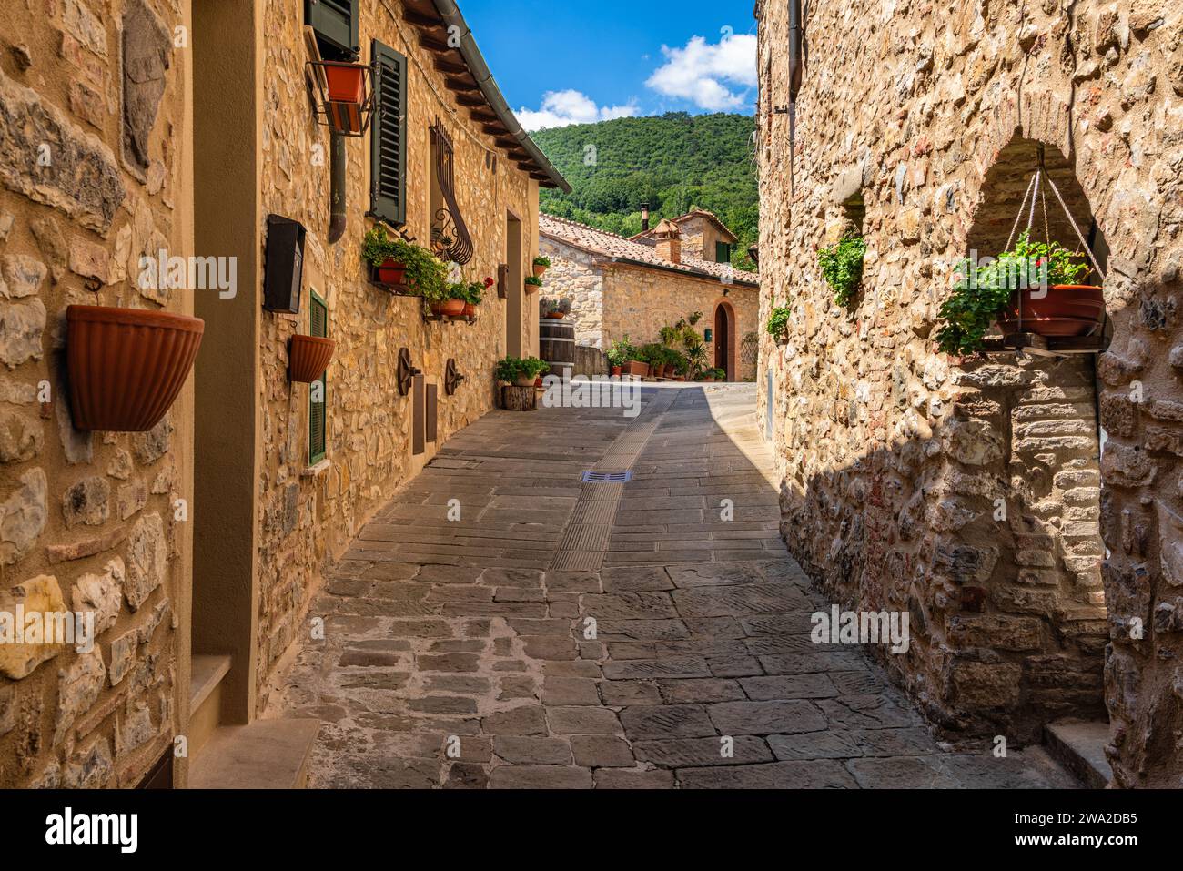 The beautiful village of Castelnuovo Val di Cecina on a sunny summer morning. Province of Pisa, Tuscany, Italy. Stock Photo