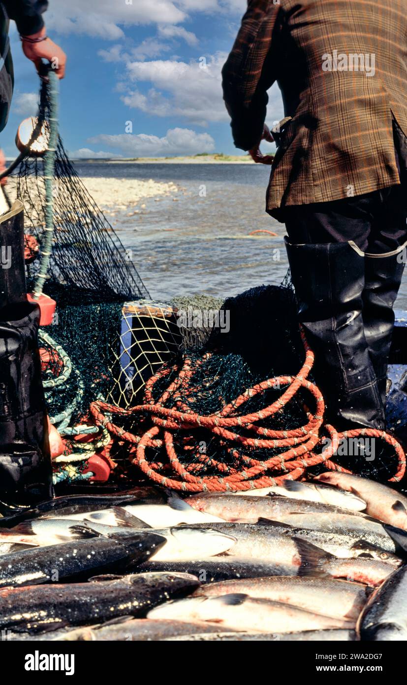Commercial fishing nets full hi-res stock photography and images - Alamy