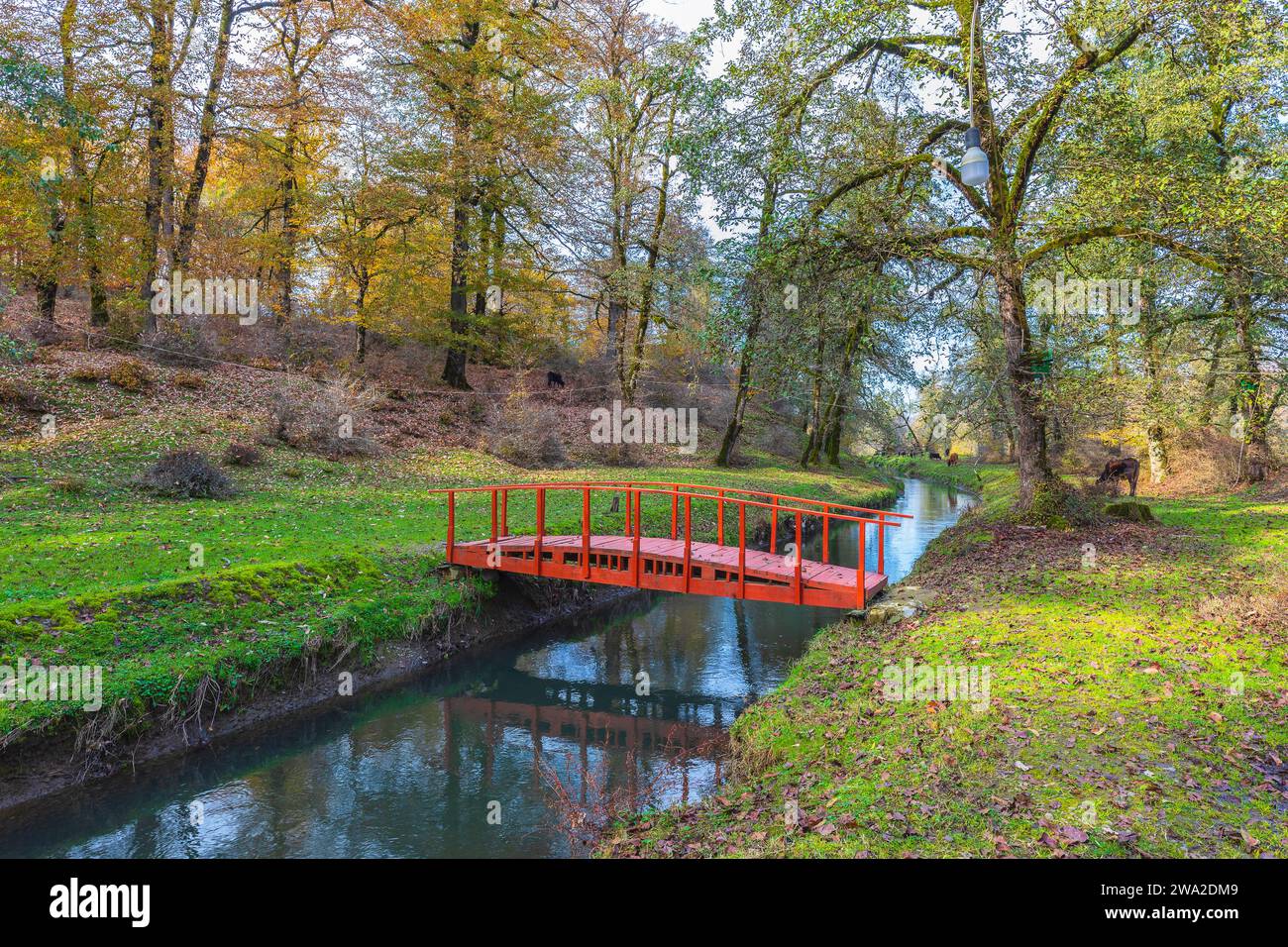 Wooden bridge spanning a water canal Stock Photo - Alamy