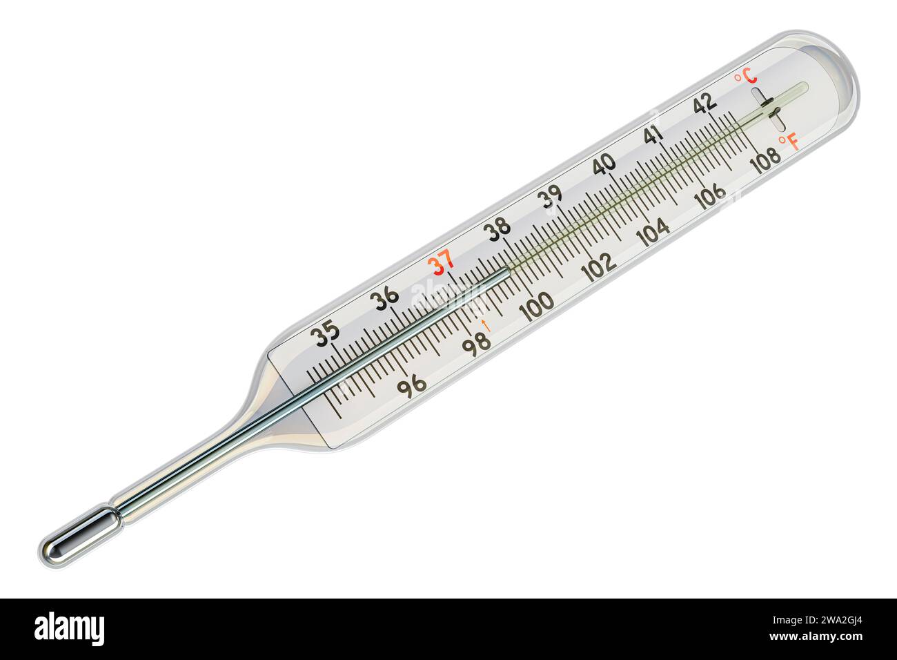 Medical, clinical mercury thermometer showing the temperature in Fahrenheit and Celsius scales, 3D rendering isolated on white background Stock Photo