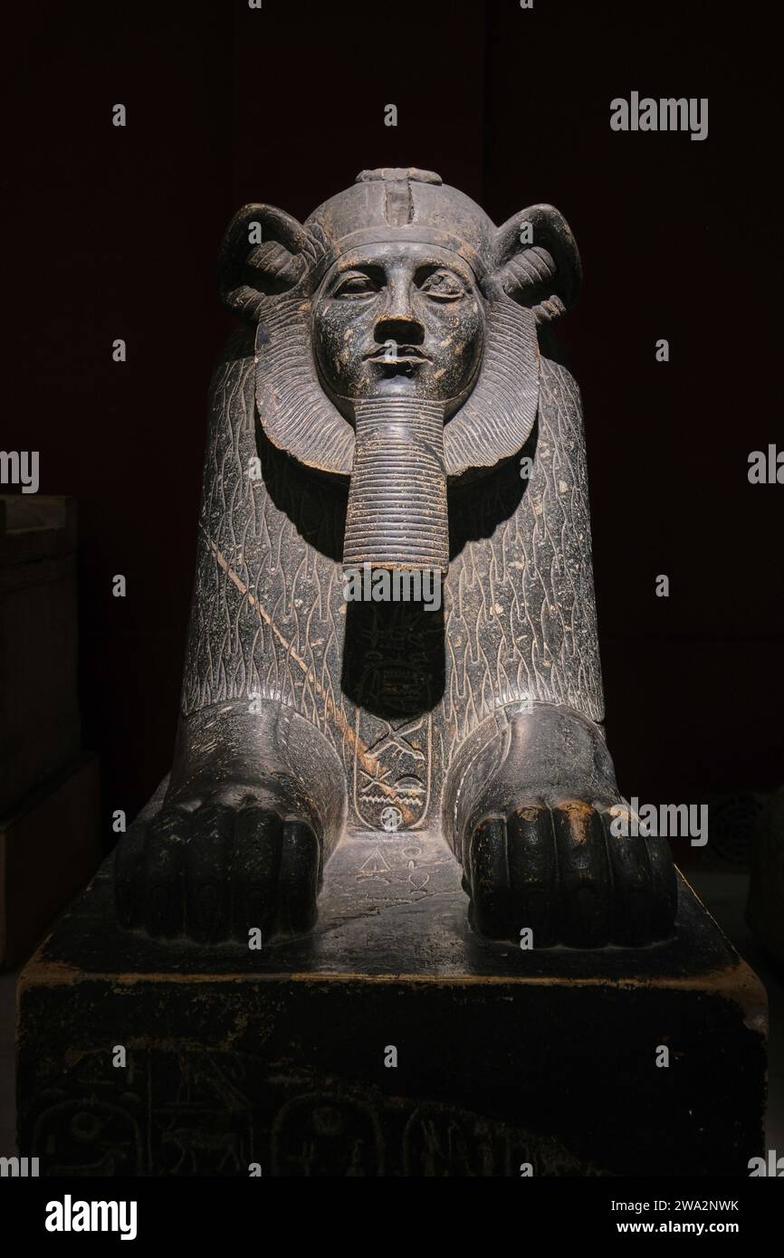 Cairo, Egypt - January 2, 2024: Statue of the Hyksos Sphinx of King Amenemhat III in The Egyptian Museum, Ancient egyptian art Stock Photo