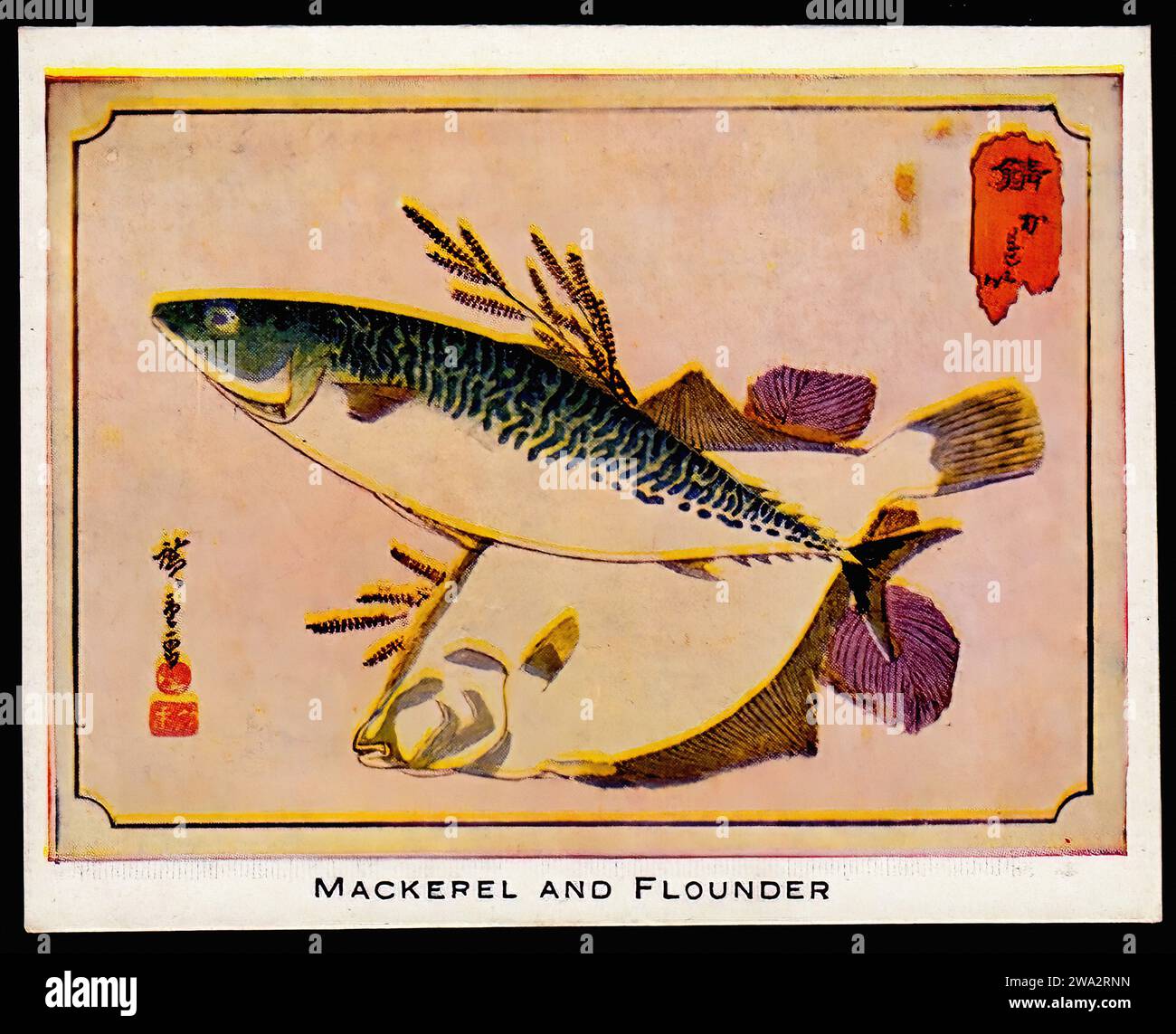 Print of Mackerel and Flounder Vintage British Trade Card Stock Photo