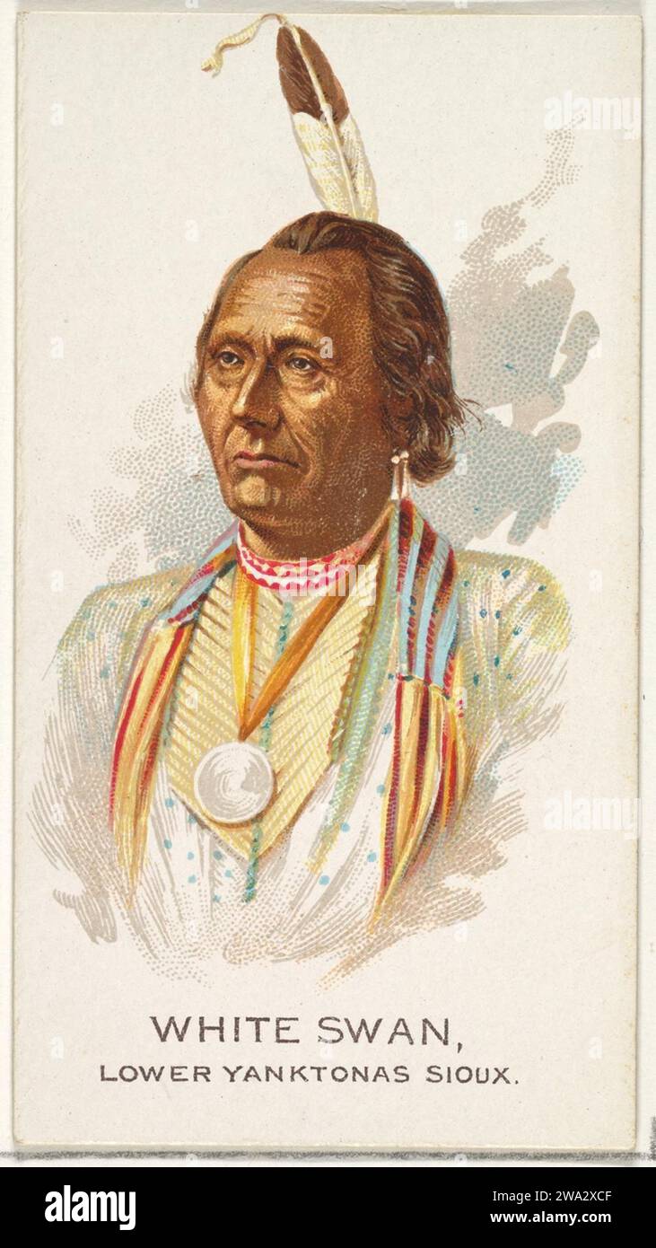 Swan sioux hi-res stock photography and images - Alamy