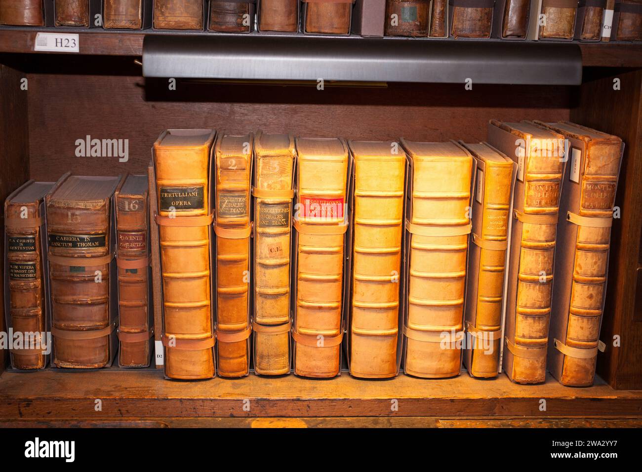 Historic books at the Bodleian Library in Oxfordshire in the UK Stock Photo