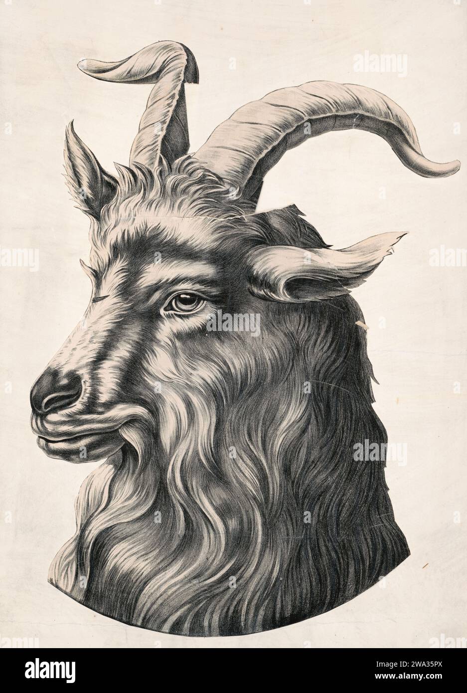 Goat's head representing Bock Beer -  old beer advertising poster, c 1880 Stock Photo