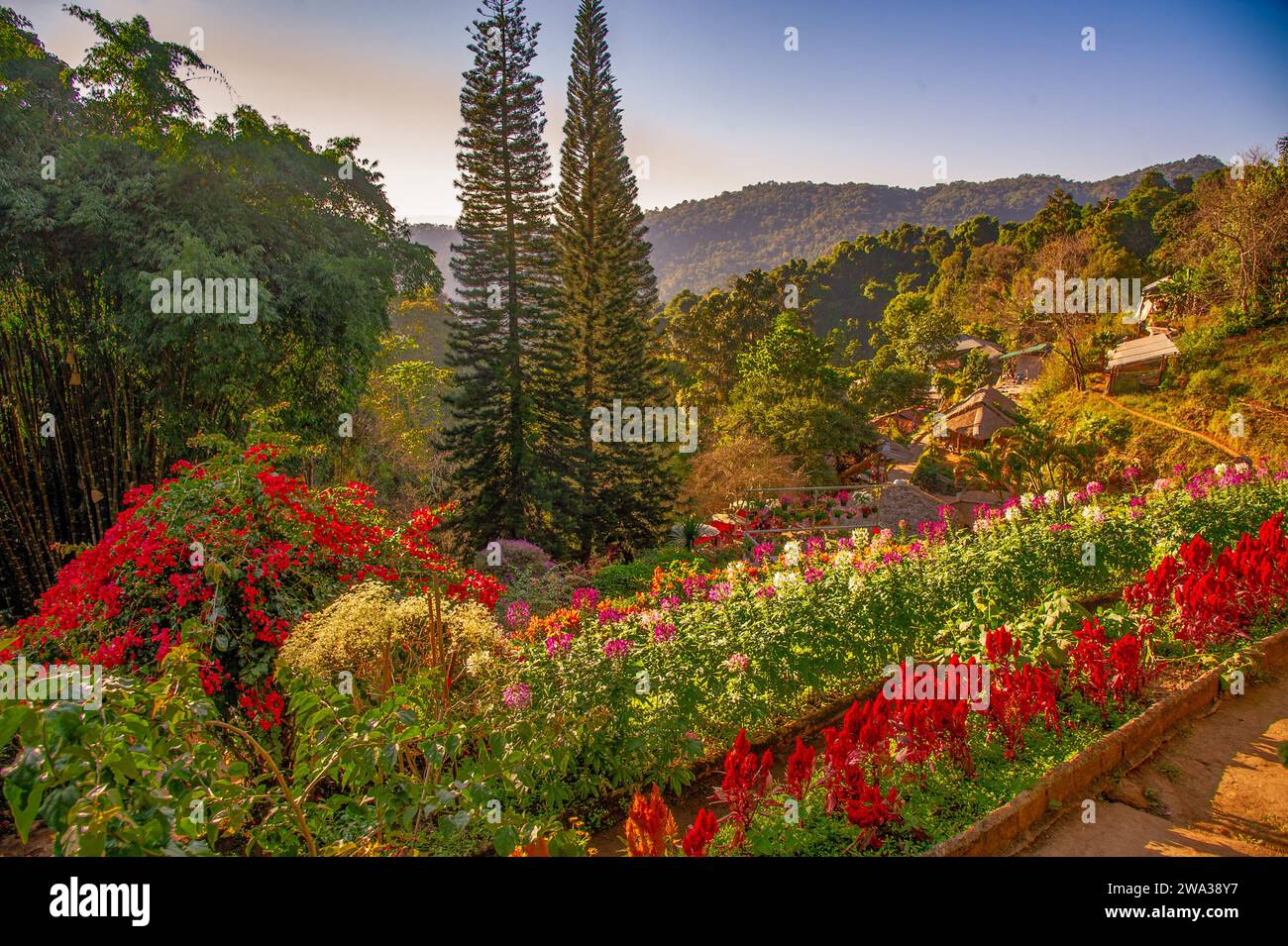 Garden with flowers of all colours in the city of Chiang Rai in Thailand Stock Photo