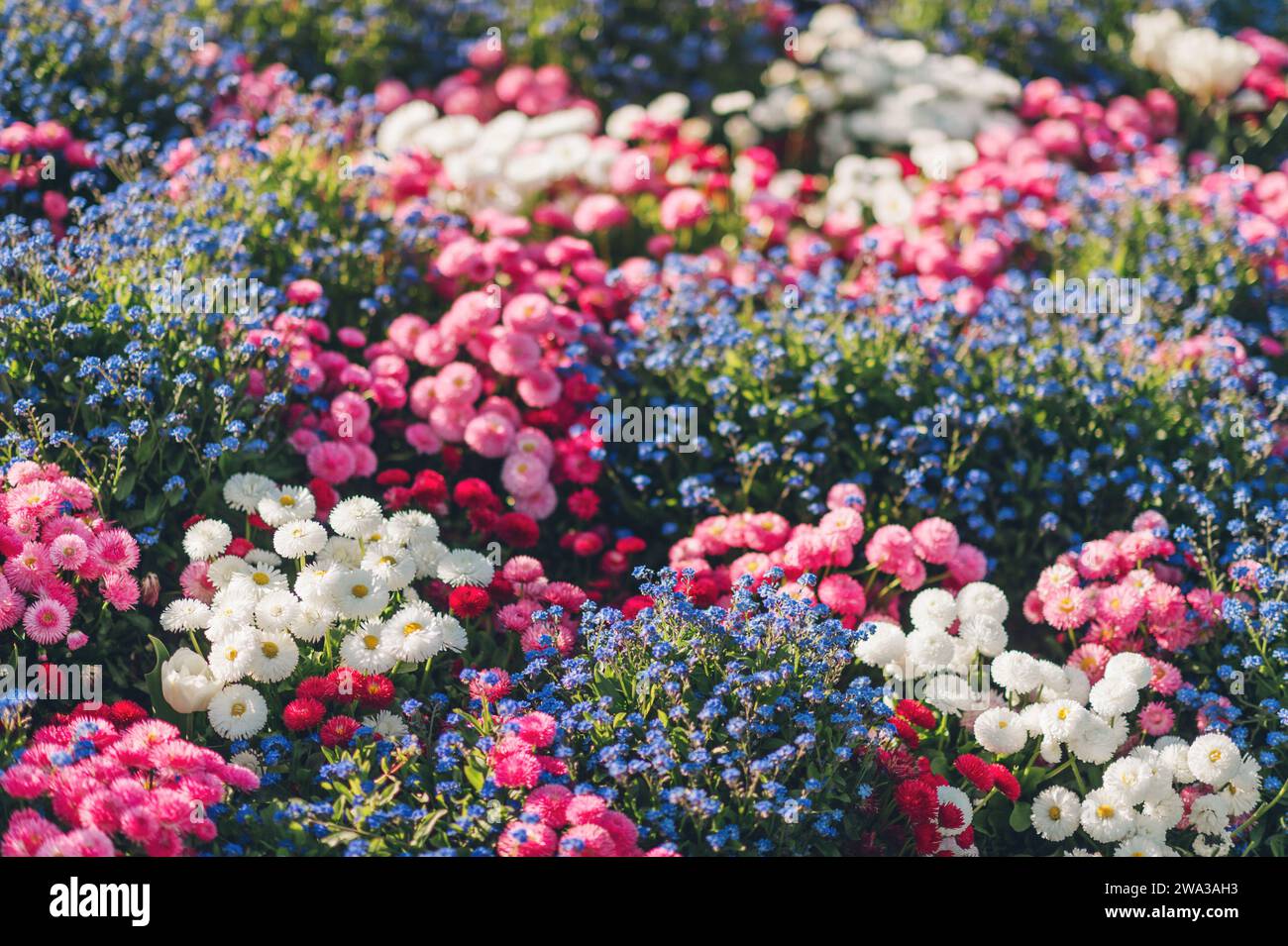 Mixed spring hi-res stock photography and images - Alamy